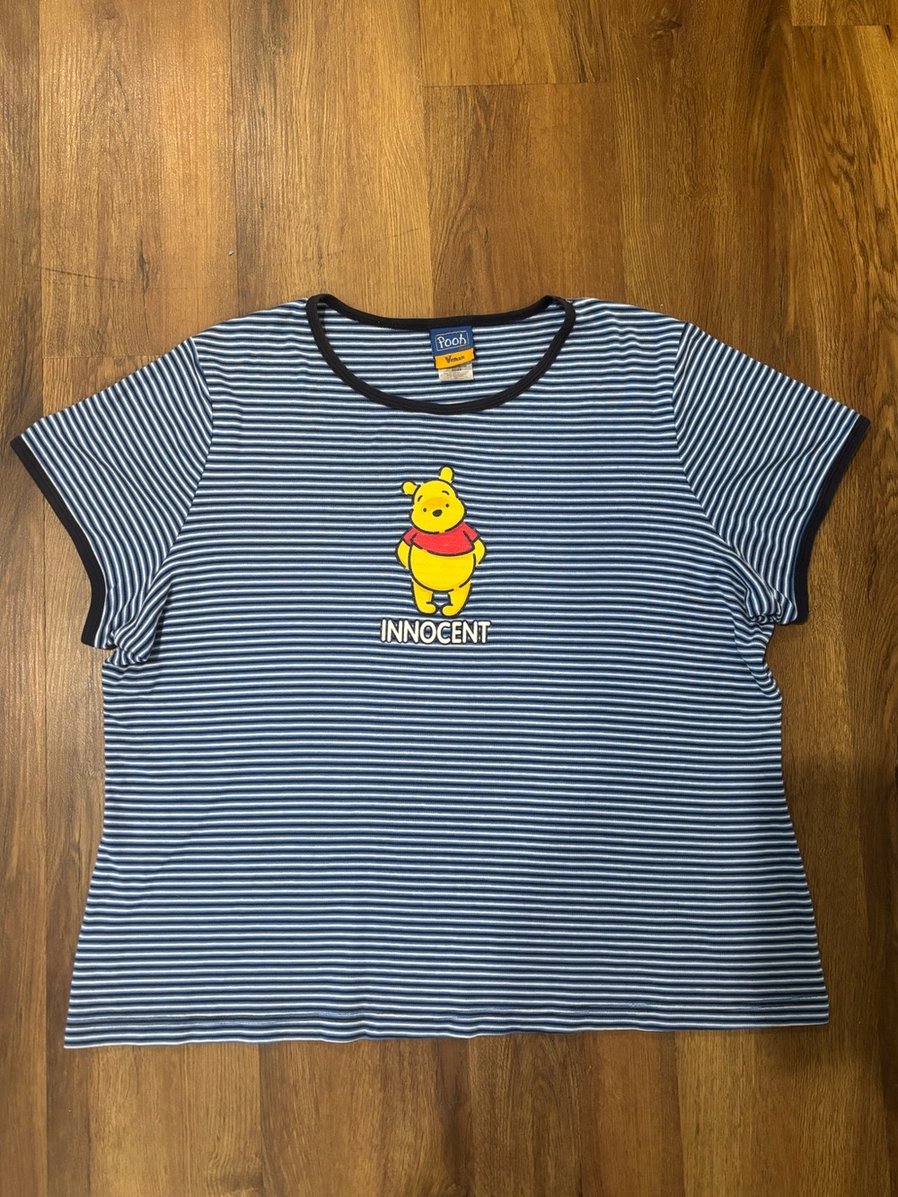 Women’s 3XL Authentic Vintage Disney Winnie the Pooh Blue Striped T Shirt